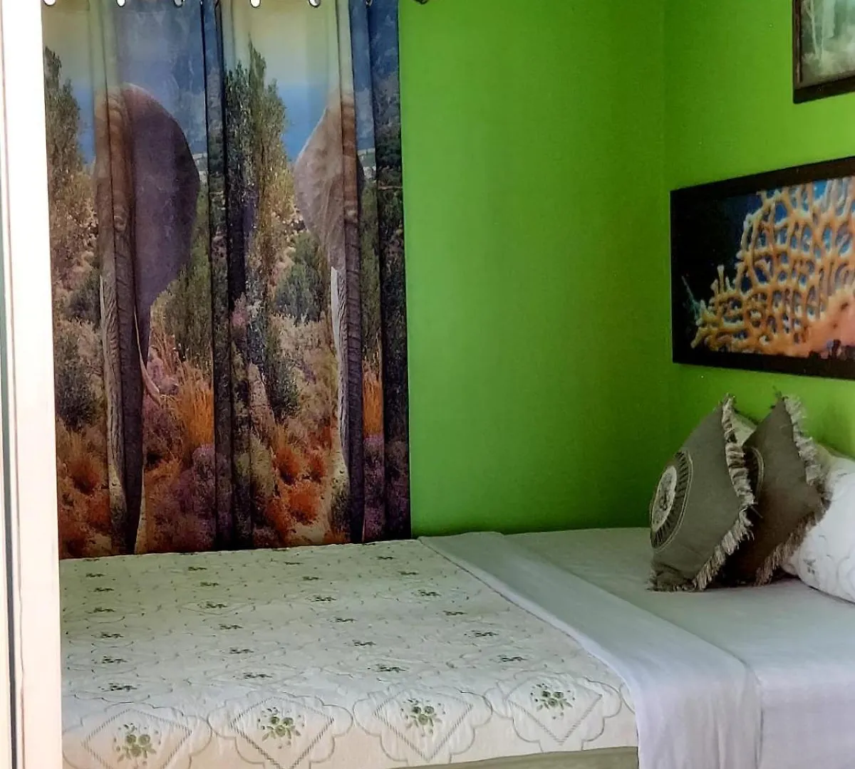 Cas Bed And Breakfast Corral Spring